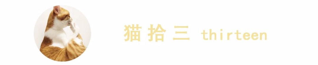 2024年澳门王中王100%的资料，系统评估详尽方案解析：今日揭秘，猫咪身上几大神秘的开关  