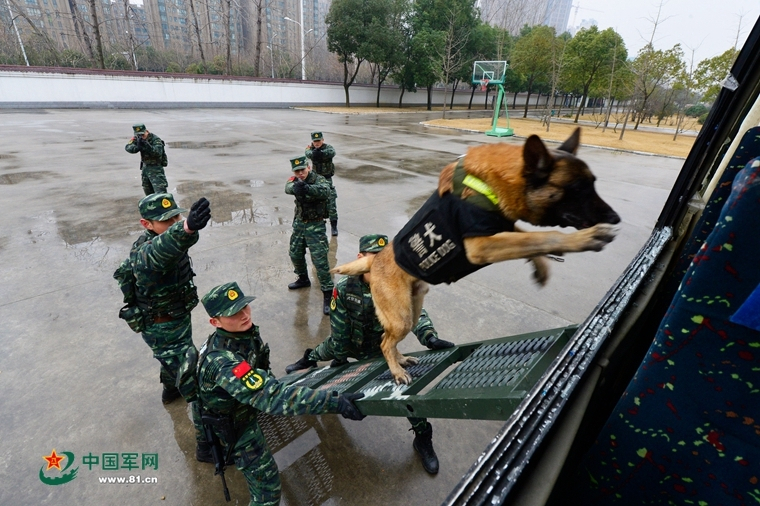 大型射击游戏,决策资料解释落实