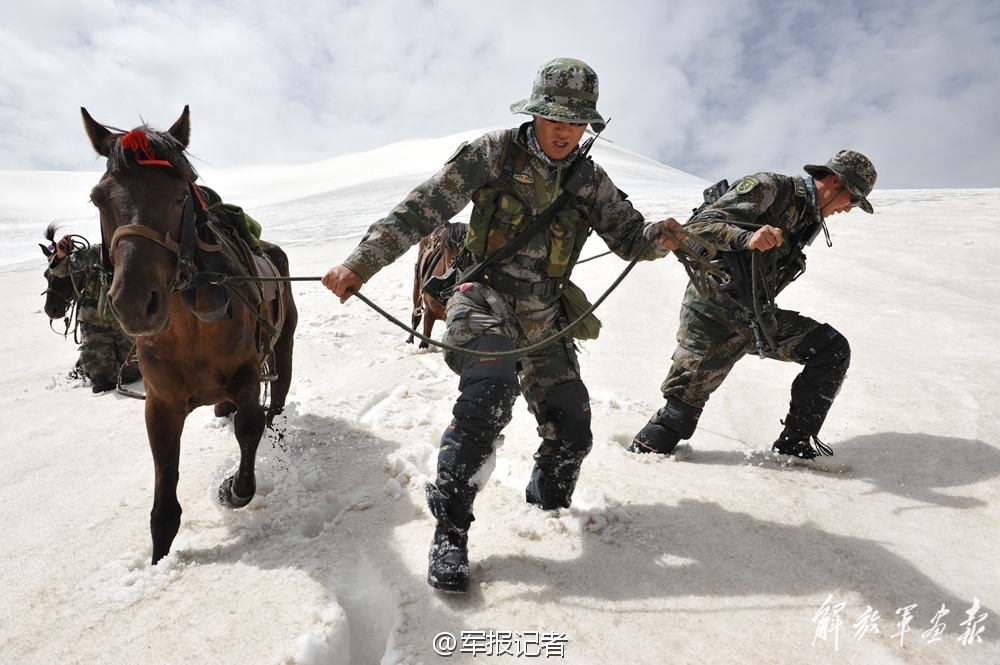 2024澳门免费资料,系统评估说明_2024款 3.0T-A39尊享版高顶F1CJYH3973